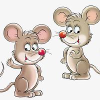 生肖鼠在哪年运气最好 顺风顺水事业有成