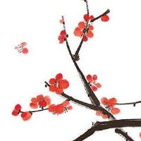 手机号伏位加天医磁场 顺口助运的手机数组