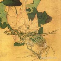 阴历五月初三是什么日子烧香拜佛怎么样？