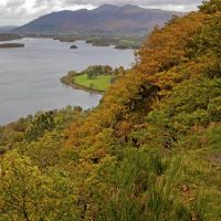 几个月出生的生肖鼠会当老板从不缺钱