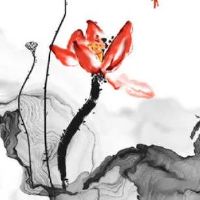 卤肉熟食店 寓意吉利好听卤味店面名称