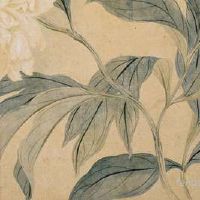 古时候坟地风水务必要留意的难题