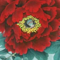 2022年8月31日建房动土吉利吗 农历八月初四黄历日子查询