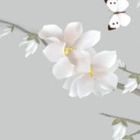 2022年8月28日宜建房动土吗 农历八月初一今日黄历宜忌