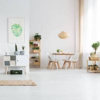 1984年生肖鼠的婚姻和命运是什么