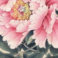 车牌号最好不要有哪些数字 有两个数字寓意最不吉利