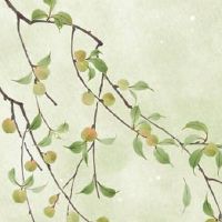 能量数字手机号码 旺运聚财的手机靓号