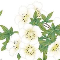 2022年9月12日宜建房动土吗 农历八月十六今日黄历宜忌