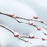 财神节是阳历哪一天 8月19日