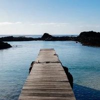 生肖鼠出生在哪些日子既有财气又有福气