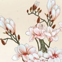 属虎的36岁本命年运气好吗 本命年犯太岁运势解析