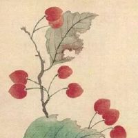 夫妻宫逢冲又逢合 八字婚姻宫被冲好不好