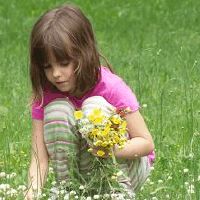 有才情又美丽的女孩名字,让人感动
