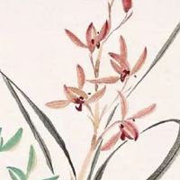 夫妻走的大运相合 同大运不一定能结婚