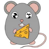 适合属鼠男放在车里的饰品挂件有哪些