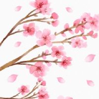 个性蔬菜水果生鲜店名 高级亲切生鲜店面起名