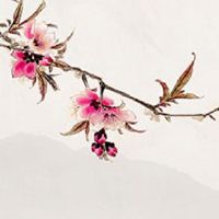 寅丑暗合好婚姻 寅丑暗合代表什么