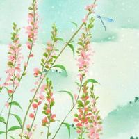 手机号码测吉凶免费 独特聚财的手机号码