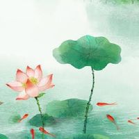 手机号伏位后面绝命数字能量 盘点五行能赚钱的手机号