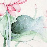 翡翠珠宝公司起名大全 翡翠名字大全免费热门