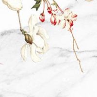 卯申暗合看配偶 暗合意为婚姻出轨