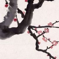 婚姻宫寅戌合 八字婚配三合局的含义