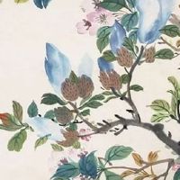 为什么说不能嫁双妻运的男人 双妻命的男人八字特征