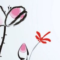 二婚命的女人有啥特点 颧骨高耸面相的女人二婚命