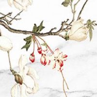 寅丑暗合一生不断 女命正官数量较多有众多追求者