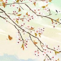 手机伏位44的磁场能量 转运靓财的手机尾数