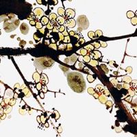 2022年11月14日是什么日子 农历十月二十是提车黄道吉日吗
