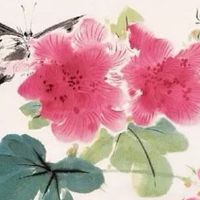 流年地支暗合夫妻宫 流年合夫妻宫会离婚吗