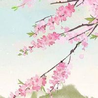 手机号码独特吉利 盘点热门正财的手机号码