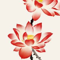 属水号码是什么 正财旺桃花的属水尾号