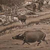 风水择日的基本：三才篇