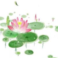 手机数字能量象征什么 磁场大吉大利的手机尾号