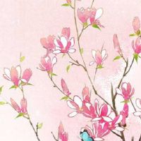 属金的生肖号码有哪些 顺遂大吉的属金号组推荐