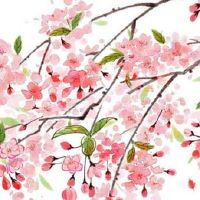 属木的号码有哪几个 五行属木吉祥顺口的手机号