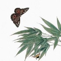 生鲜店名字简单好记 生鲜店起名