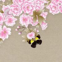 男女双方日支暗合 合为喜用表示婚后无外遇