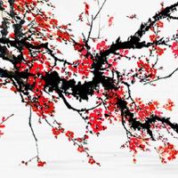 女人巳酉暗合代表什么 什么八字代表可能有婚外情