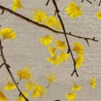 夫妻宫为卯木家庭条件 八字夫妻宫查询婚姻