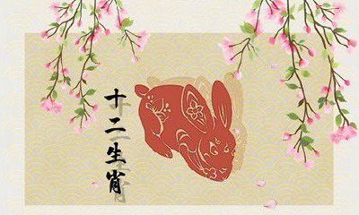 属兔人适合与哪些生肖搭配，以及与属羊人三观相合的关系分析