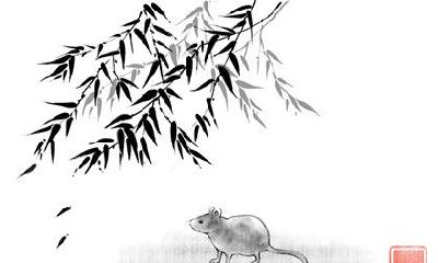 2023年四只幸运生肖——猴子、老鼠、牛和虎：将迎来意外之财，其中猴子的收入将最为丰厚