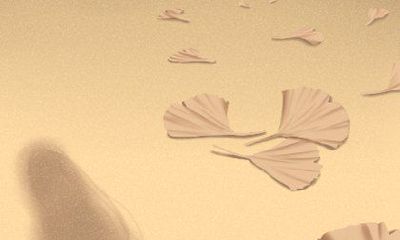 午时左眼跳是什么兆头？这种眼跳预示着什么重要的事件？让我们一起来解读它的意义吧！