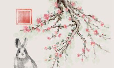 在本命年期间，作为属兔之人该佩戴什么吉祥物才能招来好运？同时，还有哪些本命佛与属兔者相关联？