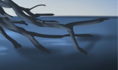 1972年出生的属鼠女性的婚姻状况如何？