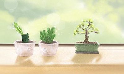 银柳的摆放位置与家庭运势息息相关：探究银柳带来的好运之源