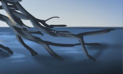 究竟是怎样决定生肖鼠的命运的？