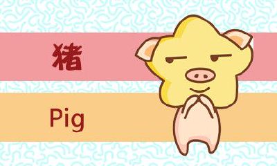 在2019年的本命年里，作为属猪的人们，应该选择什么幸运色彩呢？